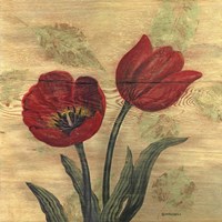 Tulip on Wood Framed Print