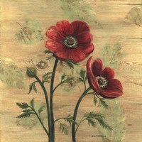 Anemone on Wood Fine Art Print