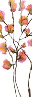 Inky Blossoms I Framed Print
