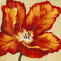 Parrot Tulip I Fine Art Print