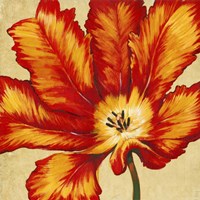 Parrot Tulip II Fine Art Print