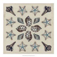 Coastal Kaleidoscope III Fine Art Print