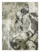 Arabesque Butterflies II Framed Print