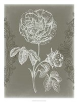 Floral Relief I Framed Print