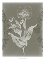 Floral Relief II Framed Print