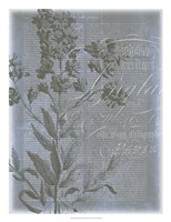 Fleur de Bleu II Fine Art Print