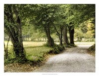 Path in the Country Fine Art Print