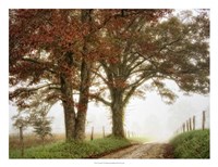 Two Oaks Fine Art Print