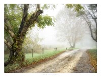 Feel the Silence Fine Art Print