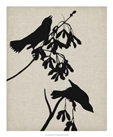 Audubon Silhouette VI Fine Art Print