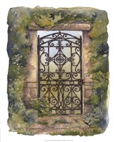 Iron Gate III Fine Art Print