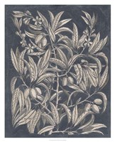 Vintage Fruit & Floral I Fine Art Print