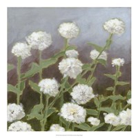 Botanical Garden Study I Fine Art Print