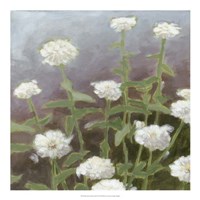 Botanical Garden Study II Fine Art Print