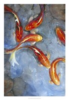 Graceful Koi II Fine Art Print