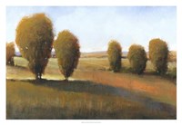 Afternoon Light I Fine Art Print