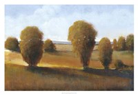 Afternoon Light II Fine Art Print