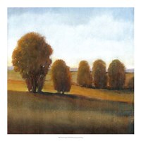 Afternoon Light VI Fine Art Print