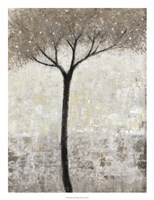 Bloom I Fine Art Print