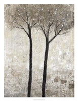 Bloom II Fine Art Print