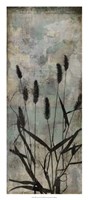Wild Grasses II Framed Print