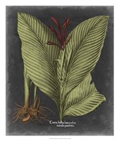 Besler Dramatique II Fine Art Print