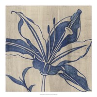 Indigo Lily Fine Art Print
