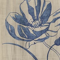 Indigo Poppy Fine Art Print