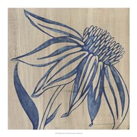 Indigo Coneflower Fine Art Print
