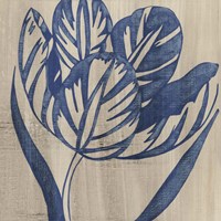 Indigo Tulip Fine Art Print