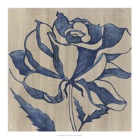Indigo Rose Fine Art Print