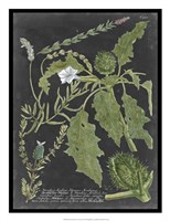 Dramatic Weinmann Greenery II Fine Art Print