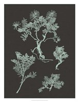 Mint & Charcoal Nature Study II Fine Art Print