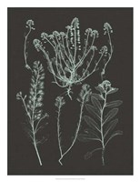 Mint & Charcoal Nature Study III Fine Art Print