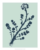 Indigo & Mint Botanical Study II Fine Art Print