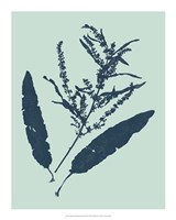 Indigo & Mint Botanical Study IV Fine Art Print