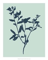 Indigo & Mint Botanical Study VII Fine Art Print