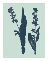 Indigo & Mint Botanical Study VIII Fine Art Print