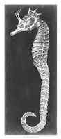 Seahorse Blueprint I Fine Art Print