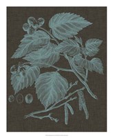 Shimmering Leaves I Fine Art Print