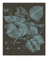 Shimmering Leaves II Fine Art Print