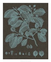 Shimmering Leaves III Fine Art Print