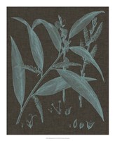 Shimmering Leaves IV Fine Art Print