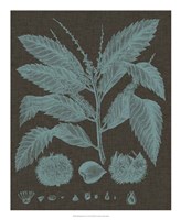 Shimmering Leaves V Fine Art Print