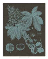 Shimmering Leaves VI Fine Art Print