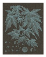 Shimmering Leaves VII Fine Art Print