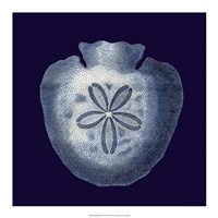 Indigo Shells III Fine Art Print