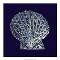 Indigo Shells VIII Fine Art Print