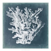 Azure Coral I by Vision Studio - 20" x 20"