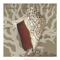 Seaside Sonnet IV Framed Print